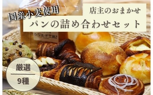 HM001 店主おまかせパンの詰め合わせセット9種 パンセット 国産小麦 パン 自家製 個包装 焼きたて 便利 グルメ 詰め合わせ 朝食 おやつ ぱん 食品