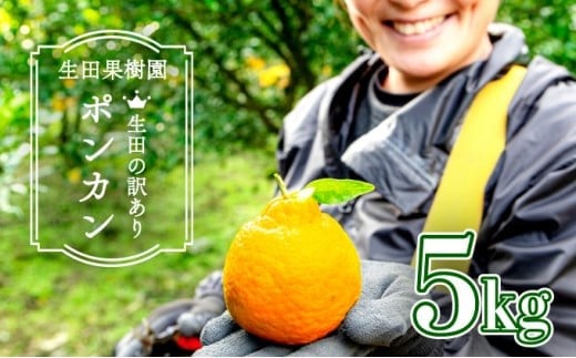 <先行予約>生田の訳ありポンカン【5kg】 国産 東洋町産 訳アリ 甘い コク ジューシー 果肉 高知県 東洋町 四国 お取り寄せ フルーツ 果物 家庭用 自宅用 送料無料 I12