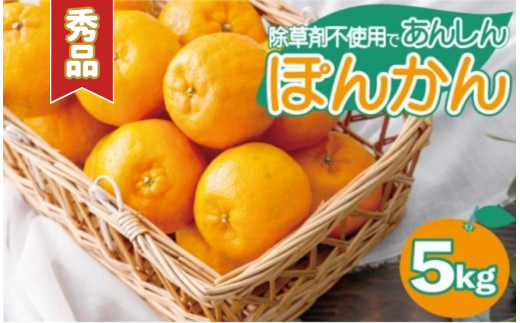 【先行予約】秀品ポンカン<5kg> 国産 東洋町産 甘酸っぱい 甘い 果汁 ジューシー 高知県 東洋町 四国 お取り寄せ フルーツ 蜜柑 ミカン 果物 送料無料 Teshi04