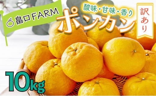 【先行予約】訳ありポンカン<10kg> HT12