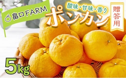 <先行予約>ポンカン【贈答用】5kg HT13