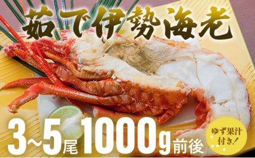 伊勢海老ボイル<1,000g前後> 国産 東洋町産 海鮮 ゆず果汁付き 茹で ボイル 甘み 旨味 四国 お取り寄せ お祝い 記念日 贈り物 送料無料 S171