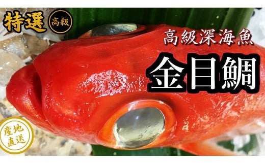 土佐甲浦 釣り金目鯛(大)!調理済み 1尾まるごと! M182