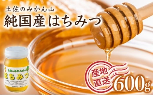 『純国産』土佐のみかん山のはちみつ<600g> 国産 東洋町産 蜂蜜 ハチミツ ハニー 国産はちみつ 国産ハチミツ 四国 家庭用 自宅用 大容量 送料無料 TA21