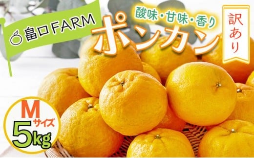 【先行予約】訳ありポンカン <5kg> Mサイズ HT17