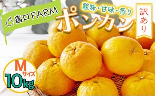 【先行予約】訳ありポンカン <10kg> Mサイズ HT18