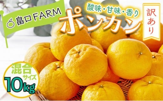 【先行予約】訳ありポンカン <10kg> サイズ混合 HT20