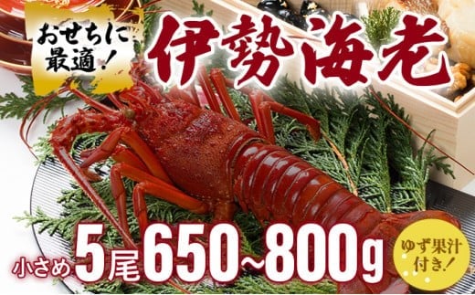 伊勢海老おせちサイズ 5尾セット【冷凍】 S214