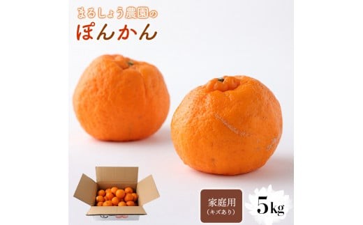 <先行予約>家庭用(キズあり)ぽんかん 5㎏ MS1