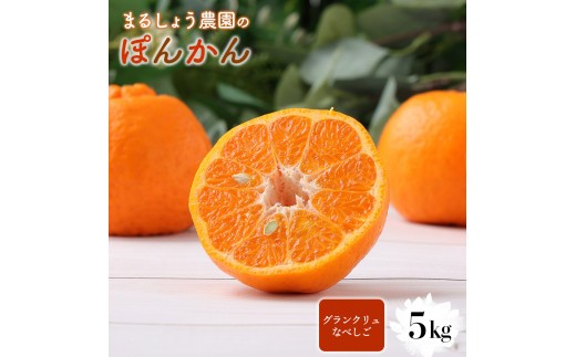 <先行予約>ぽんかん【グランクリュなべしこ】 5㎏ MS3
