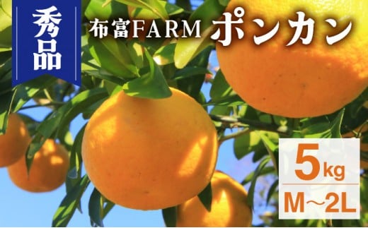 NT2-7-01<先行予約>【kg数が選べる】秀品ポンカンM〜2L 5kg