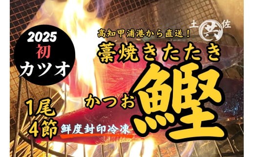 M211-2 特別に選び抜いた かつおでわら焼き!土佐のかつおのたたきプレミアム直送便 1尾まるごと <4節>