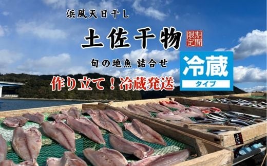 M215 冷蔵!天日干し 手作り干物詰め合わせ地魚セット 無添加土佐干物 期間限定品