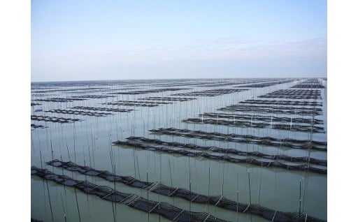 5「柳川のもんはよかばんも」産業活性化サポート事業