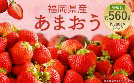 【先行予約】あまおう 等級G 約280g×2パック 計約560g いちご 苺 果物 フルーツ 【2026年2月上旬～2026年3月下旬発送予定】