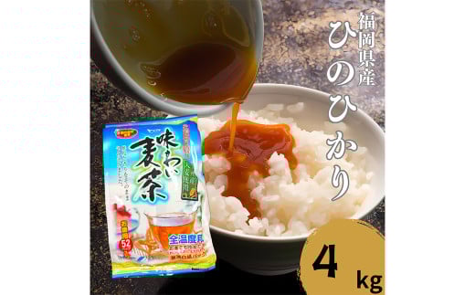 【柳川のお米】令和7年産 ヒノヒカリ 4kg タカラの味わい 麦茶 52パック セット 【2025年12月上旬から順次発送予定】 米 白米 ご飯 お茶 パック 水出し