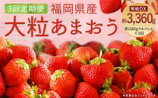 【3回定期便】【先行予約】大粒 あまおう 等級DX 総重量 約3,360g いちご 苺 果物 フルーツ 【2026年1月上旬～3月下旬迄順次発送予定】