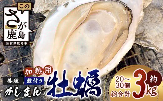 【先行予約】有明海産 すみのえ牡蠣（養殖・加熱用）殻付き 3kg | 全国牡蠣-1グランプリ銀賞受賞 | 生産者直送【11月中旬頃から発送予定】新鮮・美味しい・濃厚な焼き牡蠣や蒸し牡蠣に最適！クリーミー 旬 旨味 グルメ 佐賀県 鹿島市 人気 C-114