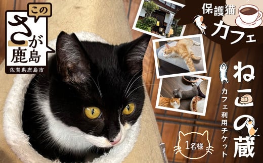 保護猫カフェねこの蔵 カフェ利用チケット｜保護猫カフェ 猫 古民家カフェ チケット 保護猫 支援 鹿島市 猫カフェ カフェ　AA-61