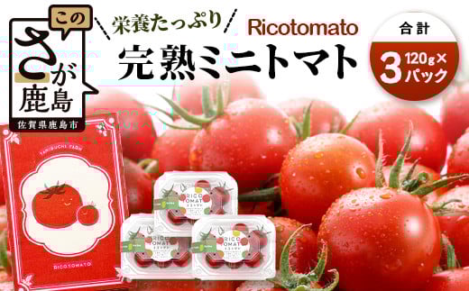 【先行予約】【2025年12月中旬から出荷】完熟ミニトマト 【少量パック】 120gx3p たにぐちファーム 完熟ミニトマト 360g とりこになるトマト 野菜 とまと トマト リコピン 佐賀産 佐賀県 鹿島市 A-212
