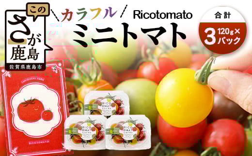 【先行予約】 カラフルミニトマト 【少量パック】 120gx3p たにぐちファーム カラフルミニトマト 360g とりこになるトマト 野菜 とまと トマト リコピン 佐賀産 佐賀県 鹿島市 A-211