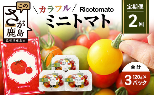【2回定期便】【先行予約】 カラフルミニトマト 【少量パック】120gx3p たにぐちファーム カラフルミニトマト 360g とりこになるトマト 野菜 とまと トマト リコピン 佐賀産 佐賀県 鹿島市 C-147