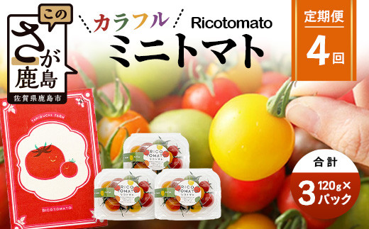 【4回定期便】【先行予約】 カラフルミニトマト 【少量パック】 120gx3p たにぐちファーム カラフルミニトマト 360g とりこになるトマト 野菜 とまと トマト リコピン 佐賀産 佐賀県 鹿島市 E-159