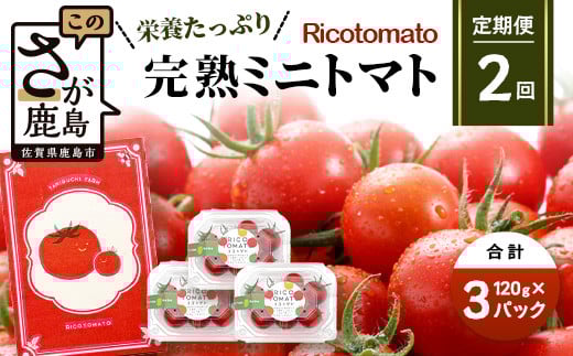 【2回定期便】【先行予約】【2026年1月から出荷】完熟ミニトマト 【少量パック】120gx3p たにぐちファーム 完熟ミニトマト 360g とりこになるトマト 野菜 とまと トマト リコピン 佐賀産 佐賀県 鹿島市 C-148