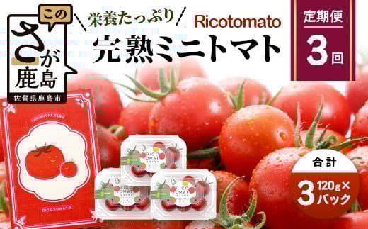 【3回定期便】【先行予約】【2026年1月から出荷】完熟ミニトマト 【少量パック】120gx3p たにぐちファーム 完熟ミニトマト 360g とりこになるトマト 野菜 とまと トマト リコピン 佐賀産 佐賀県 鹿島市 D-242
