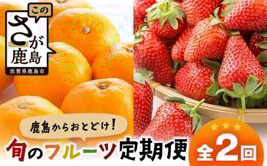 [定期便 2回]鹿島からお届けフルーツ定期便 佐賀県産みかん2kg・佐賀県産いちご240g×2パック| ふるさと納税 フルーツ 果物 定期便 定期 みかん いちご くだもの バラエティ セット 佐賀県 鹿島市 送料無料 人気 B-668teiki