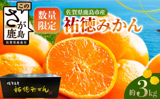 B-100[数量限定]みかん 約3kg 化粧箱入り 祐徳みかん | ふるさと納税 温州みかん フルーツ 果物 ギフト 贈答 ミカン 蜜柑 柑橘 くだもの 果実 国産 佐賀県 鹿島市 ふるさと 人気 送料無料 [10月下旬〜12月頃発送予定]