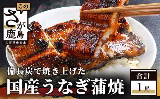 うなぎの蒲焼 １尾入り 180～200g 大型サイズ 鰻 ウナギ 蒲焼き タレ付き 密封パック入り 佐賀県 鹿島市 冷蔵  B-14