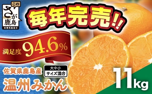 佐賀県鹿島産 温州みかん 約11kg みかん ミカン 蜜柑 柑橘 果物 フルーツ  甘い サイズ混合 小玉含む ふるさと納税 佐賀県 鹿島市 B-99
