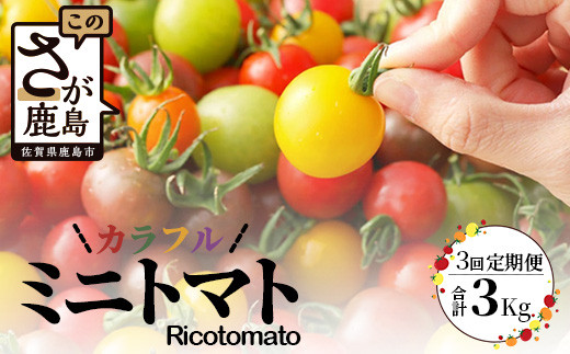 【先行予約】 【2026年1月から出荷】カラフルミニトマト 『Ricotomato』 【1kg×4回定期便】  F-25