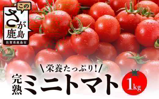 【先行予約】【2025年12月中旬から出荷】 完熟ミニトマト 約1kg『Ricotomato』 B-324