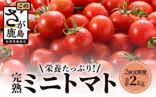 【先行予約】【2026年1月から出荷】 完熟ミニトマト『Ricotomato』 【1kg×2回定期便】 D-93