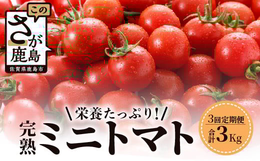 【先行予約】 【2026年1月から出荷】 完熟ミニトマト『Ricotomato』 【1kg×3回定期便】  E-68