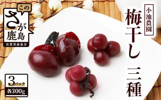 《小池農園》小梅の紅梅漬・小梅の天然しそ漬・紅梅漬3種類セット 【各300g】 B-467