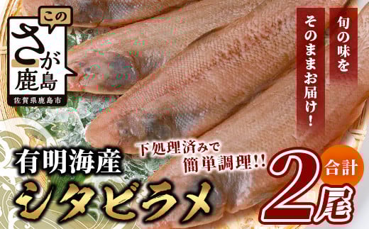 【下処理済で簡単調理】有明海産 シタビラメ約150g×2尾【合計約300g】煮つけ・唐揚げにおススメ【脂ののって美味しい】鮮度抜群 A-154