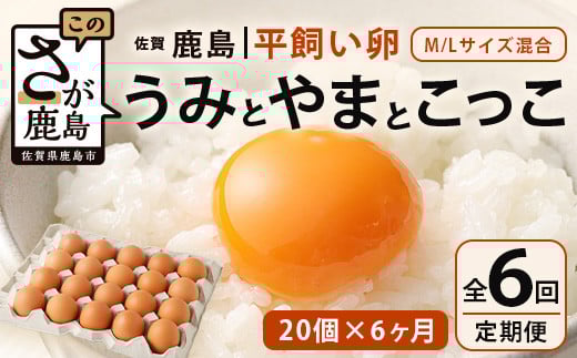 【定期便 6回】 平飼い卵 うみとやまとこっこ 上田養鶏場 たまご20個 × 6ヶ月 合計120個 卵 玉子 たまご ふるさと納税 佐賀県 鹿島市 E-129