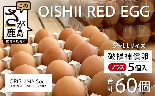 【鹿島市産のたまご】肥前のおいしい赤たまご 60個 (55個+破損補償5個入り) B-711 卵 玉子 タマゴ 料理 卵かけご飯 目玉焼き 玉子焼き スイーツ