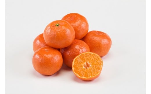 【11月中旬～発送】【小粒】金時紅みかん 約5kg