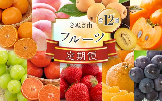 【定期便全12回】香川県さぬき市 フルーツ厳選定期便