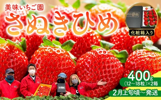 【2月上旬頃~発送】美味いちご園「さぬきひめ」さぬきひめ 400g 化粧箱入り×2箱