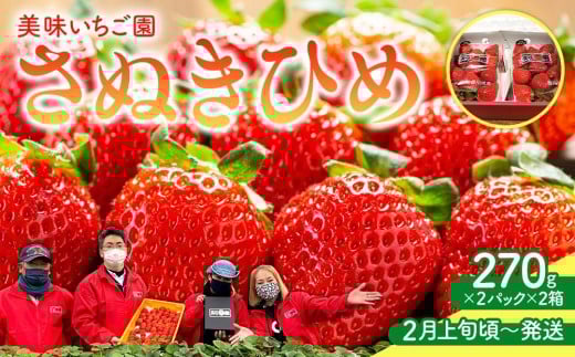 【2月上旬頃~発送】美味いちご園「さぬきひめ」さぬきひめ 270g×4パック