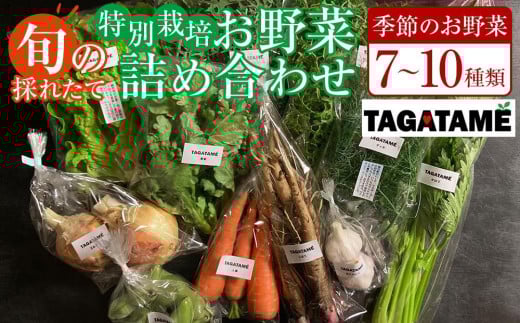 特別栽培 旬の採れたて お野菜 7~10種類詰め合わせセット TAGATAME タガタメ【野菜 特別栽培 有機野菜 農薬不使用 無農薬】