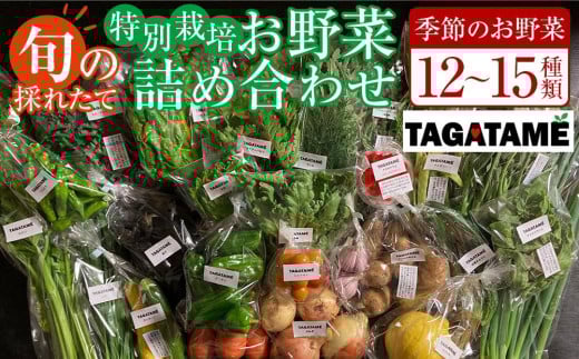 特別栽培 旬の採れたて お野菜 12~15種類詰め合わせセット TAGATAME タガタメ【野菜 特別栽培 大容量 有機野菜 農薬不使用 無農薬】