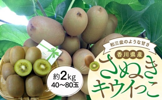 【11月上旬頃~発送】さぬきキウイっこ 約2kg (約40~80玉)