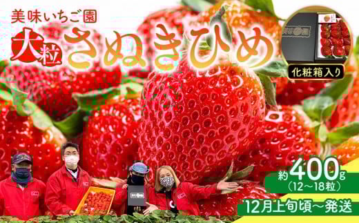 【12月上旬頃~発送】美味いちご園「さぬきひめ」化粧箱入り 400g
