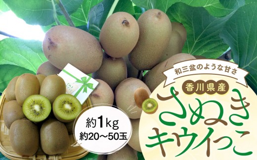 【11月上旬頃~発送】さぬきキウイっこ 約1kg (約20~50玉)